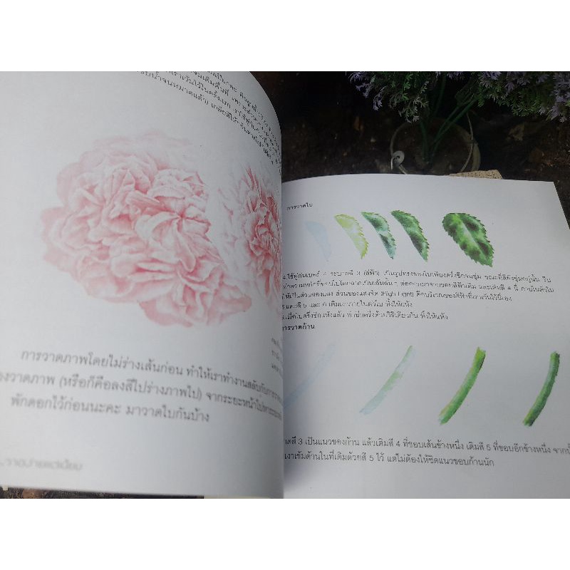 รวมหนังสือเทคนิคและขั้นตอนการวาดสีน้ำอย่างละเอียด