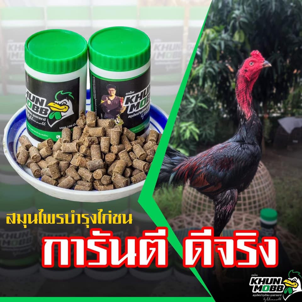 khunmobb-สมุนไพรบำรุงไก่ชน