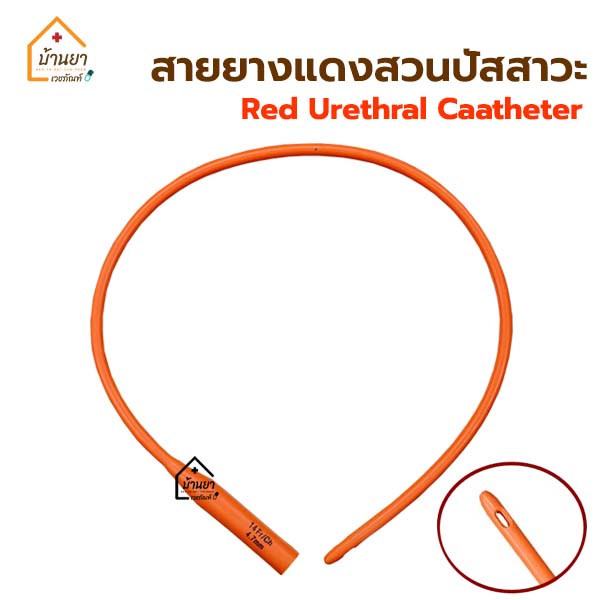 ภาพหน้าปกสินค้าสายยางแดง สวนปัสสาวะ แบบสวนทิ้ง สายยางแดงดูดเสมหะ Red Urethral สายปัสสาวะ French Catheter จากร้าน banyavechaphan บน Shopee