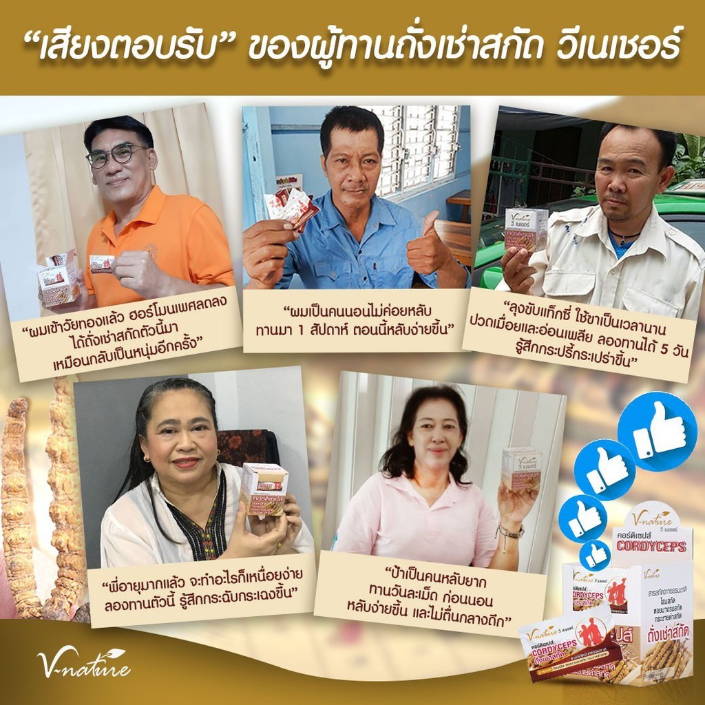 พร้อมส่ง-v-nature-ถั่งเช่า-คอดีเซ็ปส์-จากทิเบต-cordyceps-ซี-เนเชอร์-ถังเช่า-artiscent-มหัศจรรย์แห่งสมุนไพรจักรพรรดิ