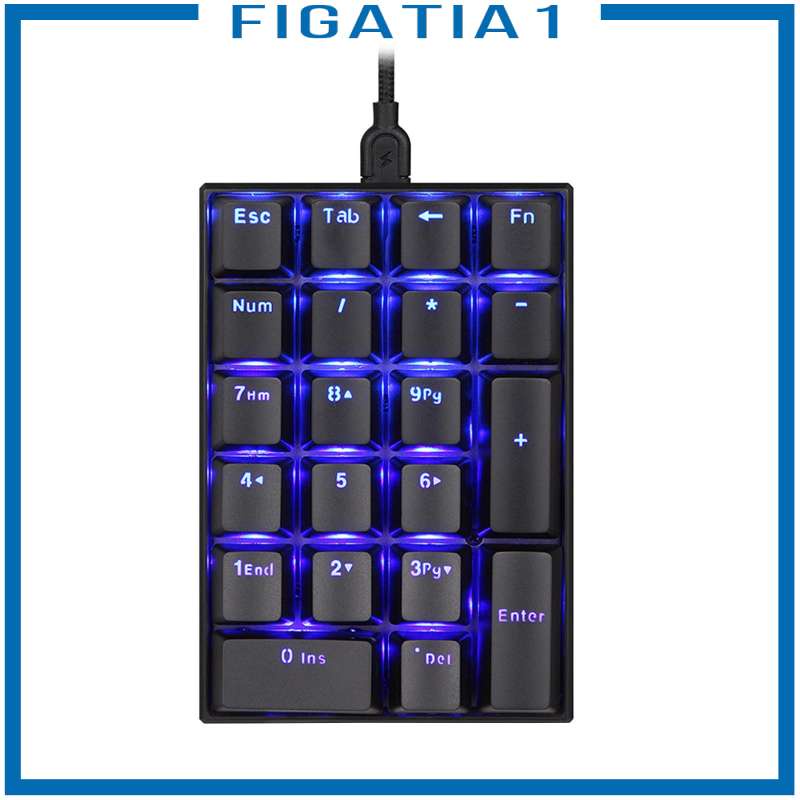ภาพหน้าปกสินค้าK23 Mini Numpad LED Backlit Gaming Keypad 21-Key Numeric Keypad Mechanical Keyboard จากร้าน figatia1.th บน Shopee