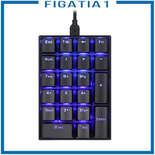 ภาพขนาดย่อของภาพหน้าปกสินค้าK23 Mini Numpad LED Backlit Gaming Keypad 21-Key Numeric Keypad Mechanical Keyboard จากร้าน figatia1.th บน Shopee