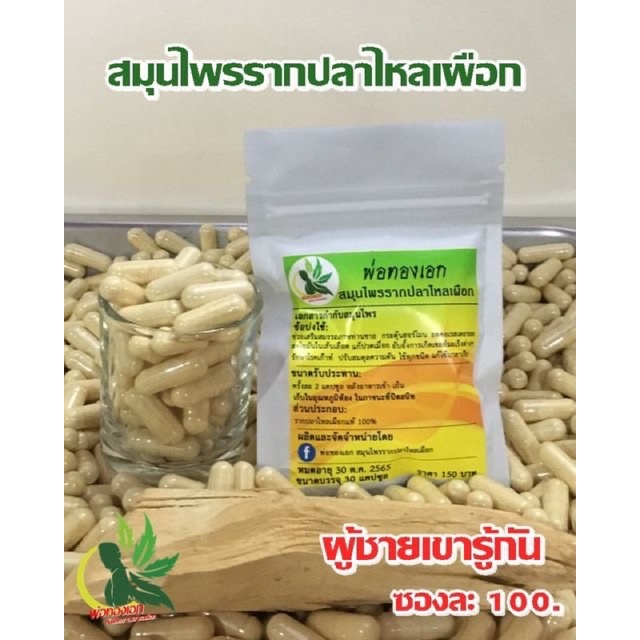 ภาพสินค้าพ่อทองเอกสมุนไพรรากปลาไหลเผือกส่งฟรี จากร้าน wareeluk_ou บน Shopee ภาพที่ 3