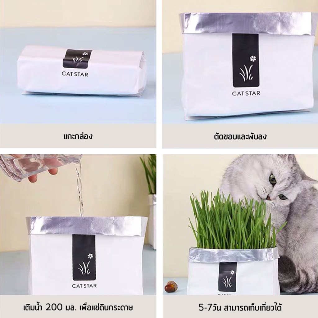 ภาพหน้าปกสินค้าI&CAT ชุดปลุกหญ้าสำหรับน้องแมว ปลูกหญ้าในถุง ปลุกง่าย ขึ้นไว หญ้าน้องแมว เพิ่มวิตามินที่ดีแก่น้องแมว จากร้าน i_and_cat บน Shopee
