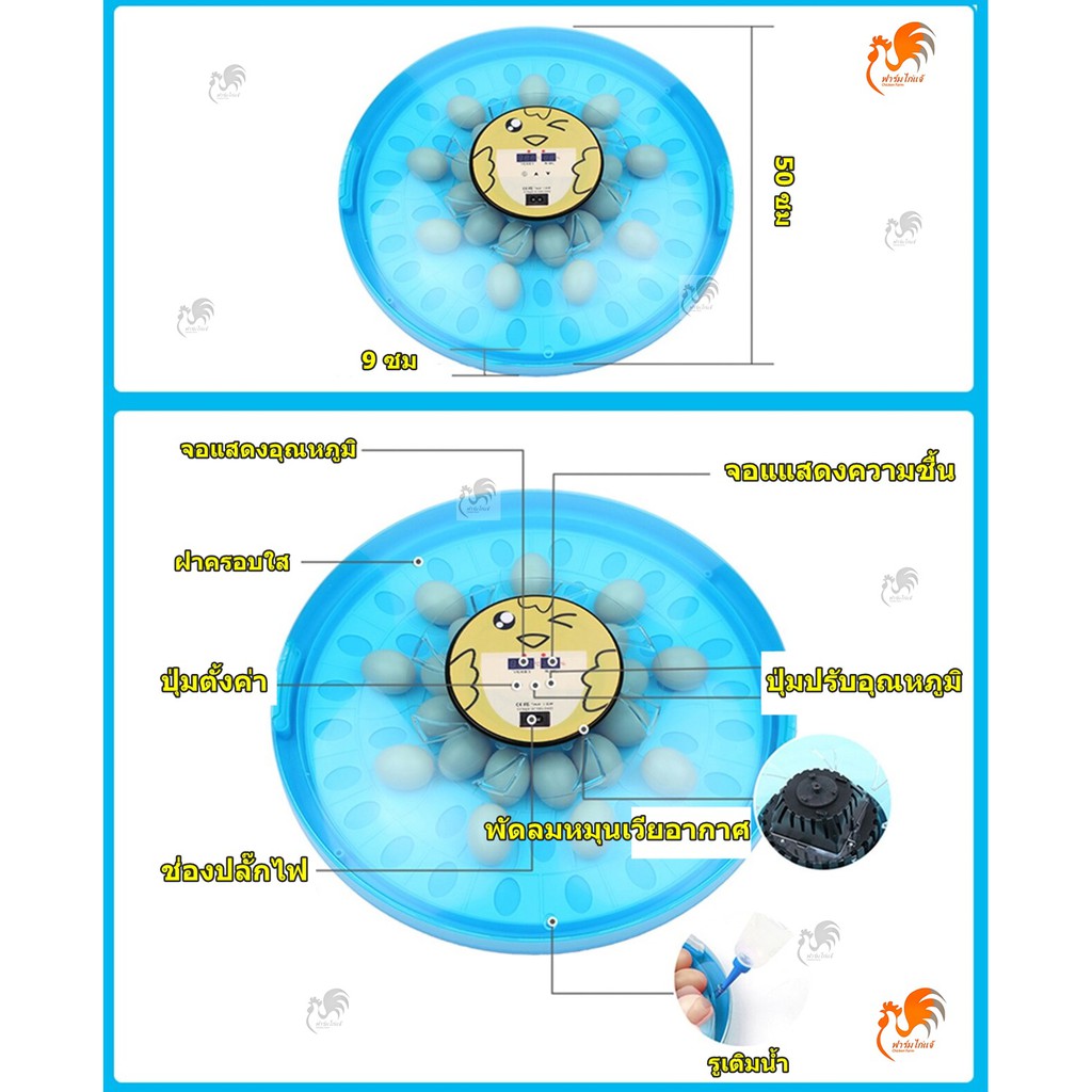 ส่งด่วนเครื่องศูนย์-52-ฟอง-มีคู่มือภาษาไทย-ของแถมครบ-ศูนย์ซ่อมบริการ-ตู้ฝักไข่ไก่-เครื่องฟักไข่อัตโนมัติ-ตู้ฟักไข่ไก่