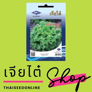 ภาพขนาดย่อของภาพหน้าปกสินค้าเมล็ดพันธุ์ ผักกาดหอมเมล็ดดำ ซองจัมโบ้ เพิ่มปริมาณมากกว่า 3 เท่า ผักสลัด จากร้าน thaiseedonline บน Shopee ภาพที่ 4