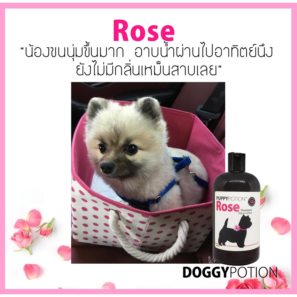 puppy-potion-rose-shampoo-สปาขนสุนัข-ธรรมชาติ100-500ml-dg06