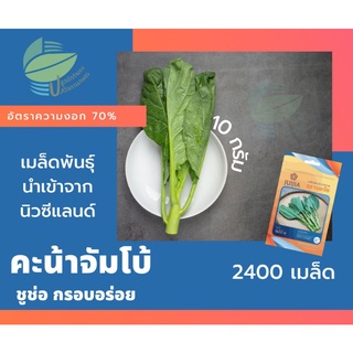 คะน้า (Chinese Kale)