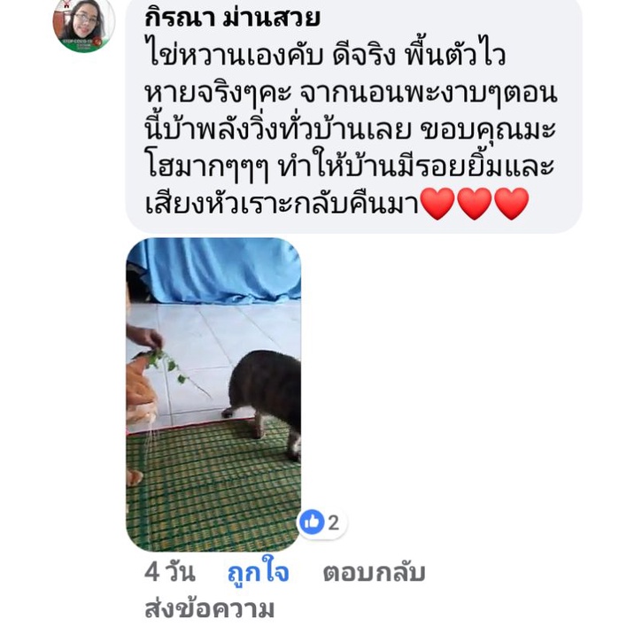 มะโฮเบต้ากลูแคน-ส่งฟรี-3กล่องขึ้นไปราคายิ่งถูก