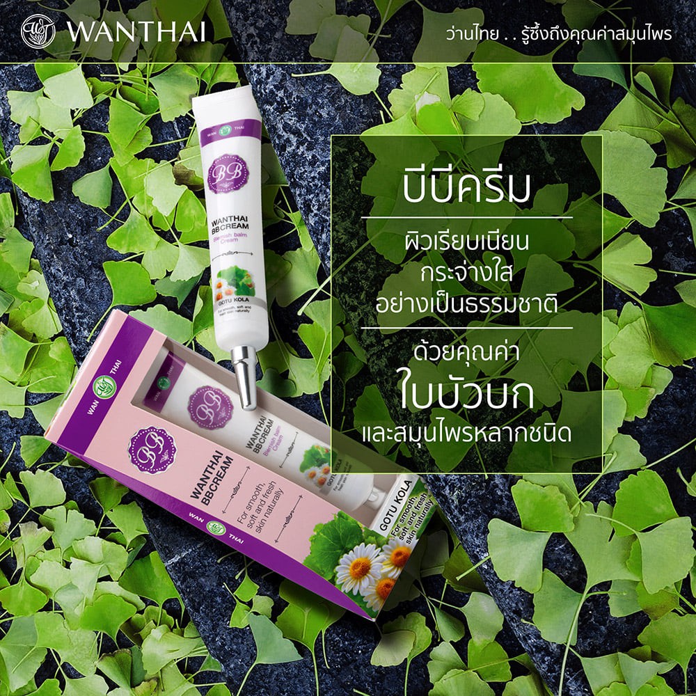 wanthai-bb-cream-ว่านไทย-บีบี-ครีม-ขนาด-30-g-ป้องกันแสงแดด-สารสกัดจากใบบัวบก-คาโมมายล์-และสมุนไพรต่างๆหลายชนิด