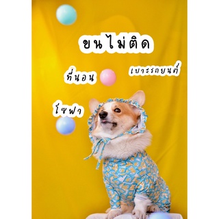 สินค้า x1 Daddy dog ชุดกันขนร่วง ใช้ได้ทั้งสุนัขและแมว แบบสุ่มสีสุ่มลาย ชุดกันขนร่วงหมา ชุดกันขนร่วงแมว