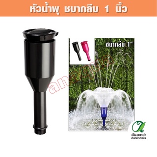 SB, Fountain Head SB หัวน้ำพุ ชบากลีบ 1นิ้ว