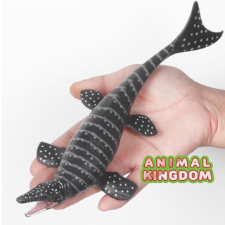 Animal Kingdom - โมเดลไดโนเสาร์ Mosasaurus ขนาด 28.00 CM (จากสงขลา)