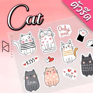 ตัวรีด Cat แมว น่ารัก ติดเสื้อผ้า กระเป๋า DFT รีดด้วยเตารีดได้ No.019