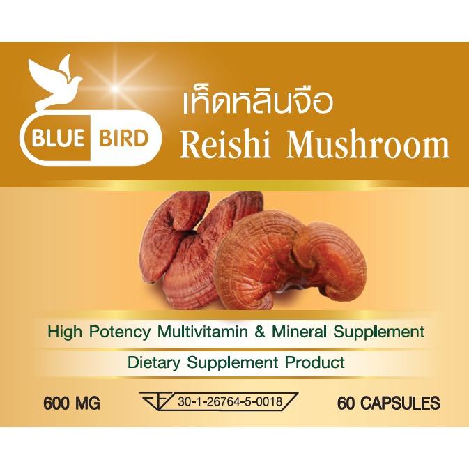 เห็ดหลินจือ-reishi-mushroom-ตรา-บลูเบิร์ด-ขนาด-600-มิลลิกรัม-60-แคปซูล