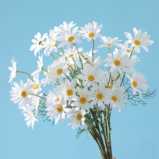 ช่อดอกเดซี่ประดิษฐ์ ยาว 52 ซม. 5 หัว สีขาว สําหรับตกแต่งบ้าน สํานักงาน สวน งานแต่งงาน 10 ชิ้น ต่อชุด