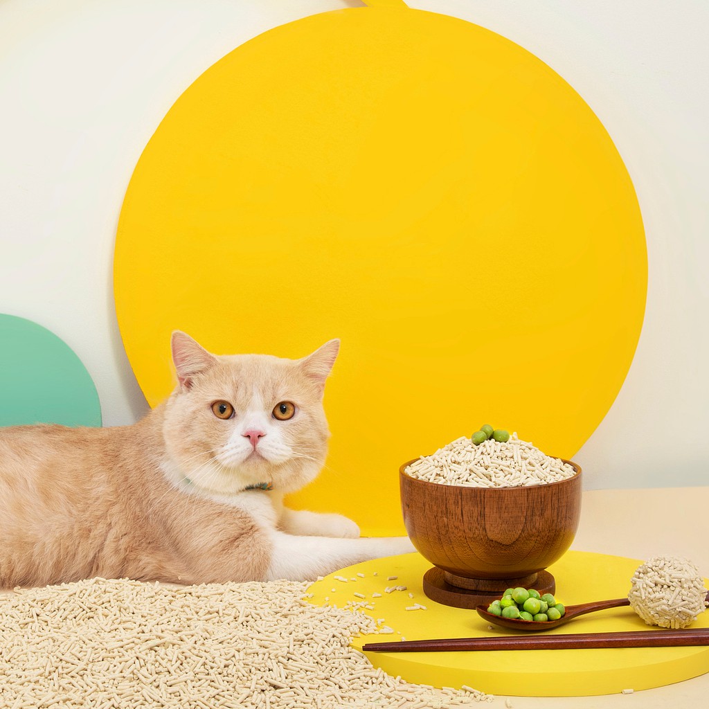 ภาพสินค้าBoqi factory ทรายเต้าหู้ 5 ลิตร ทรายเต้าหู้ ออร์แกนิค100% ผลิตจากกากถั่วเหลืองธรรมชาติ ทรายแมว Cat Litter SDHS22 จากร้าน sozhan บน Shopee ภาพที่ 5