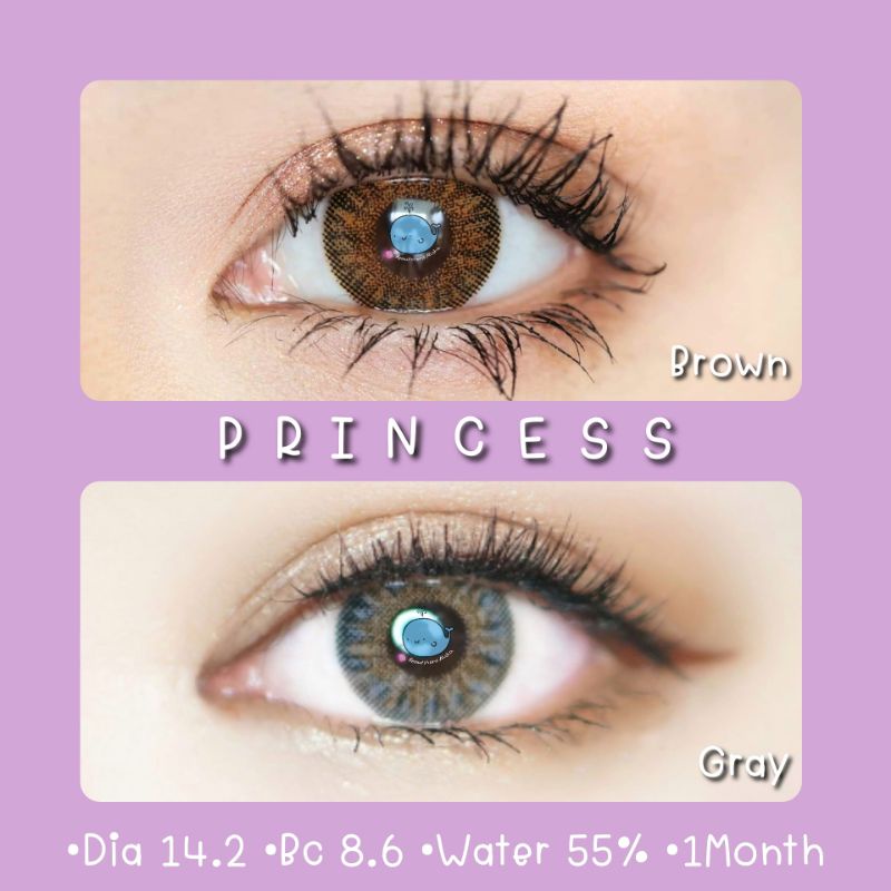 princess-brown-gray-สายตา-00-1000-รายเดือน