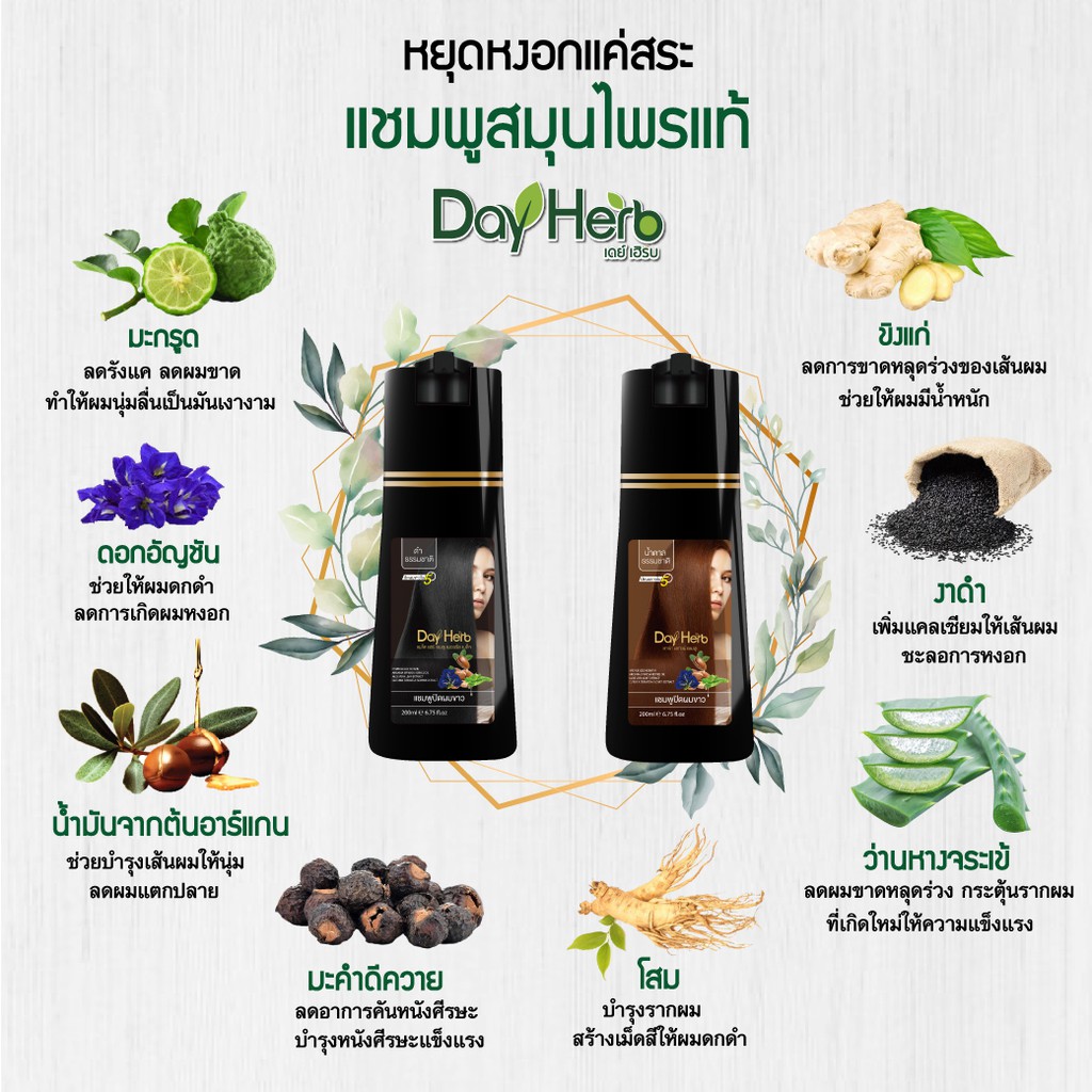 dayherb-แชมพูปิดผมขาว-สมุนไพรแท้-100-ปิดหงอก-ลดร่วง-ใน-5-นาที-แชมพูมะพร้าว-ออร์แกนิค-coco-milk