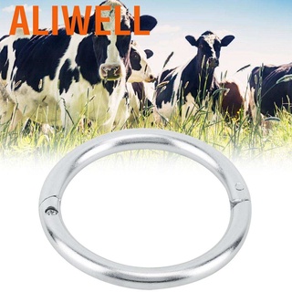 แหวนจมูกวัว วัว สเตนเลส ขนาด 7.7 ซม. อุปกรณ์เสริมฟาร์มสามี ฟาร์มสัตว์