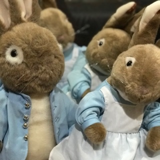 สองตัว Peter Rabbit 🥕🥕 🥰 🐇 🐰