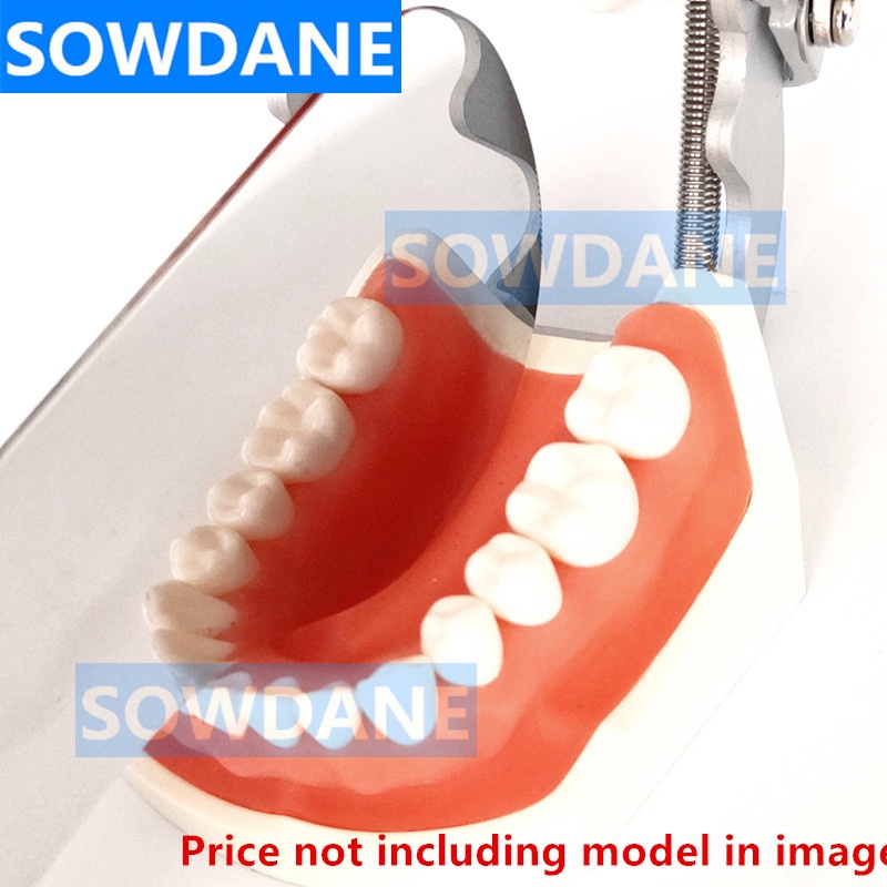 dental-orthodontic-teeth-whitening-autoclavable-dental-oral-photographic-mirror-reflector-double-side-dental-teeth-check