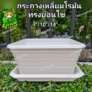 ถูกและหนา‼️กระถางเหลี่ยมโรมันทรงบอนไซมีขา หนา7"/10"/14" ❌️ไม่รวมจานจานขายแยกค่ะ❌️ สีขาวครีม/เทา/ดำ/อิฐ