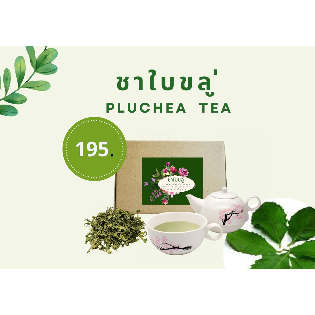 ชาใบขลู่-pluchea-tea-ไม่มีคาเฟอีนและนำ้ตาล