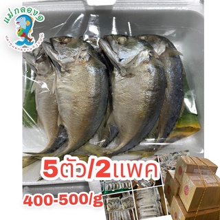 ภาพหน้าปกสินค้าปลาทูนึ่ง:size5ตัว/ร้านแม่กลอง๑#ปลาทูแม่กลองแท้ ที่เกี่ยวข้อง