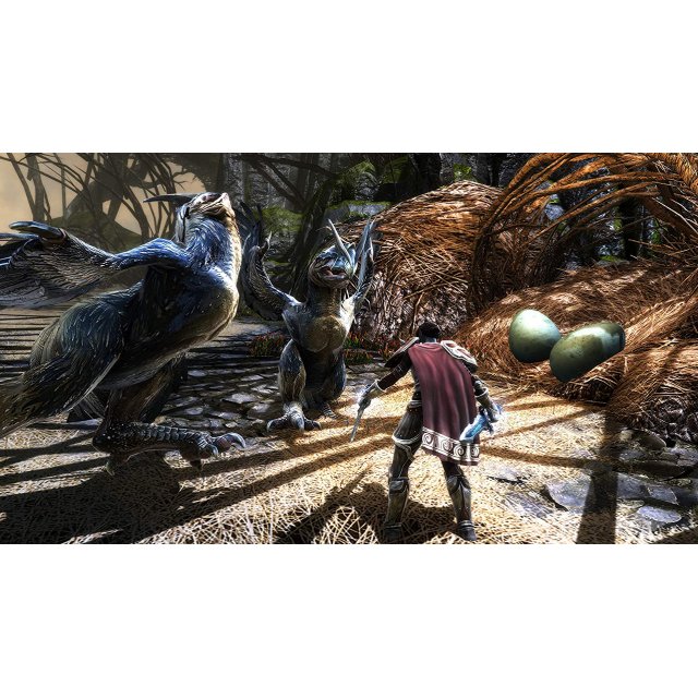 nintendo-switch-เกม-nsw-kingdoms-of-amalur-re-reckoning-by-classic-game
