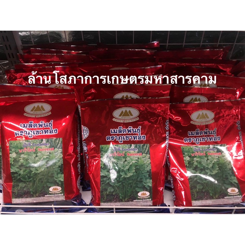 ขายส่ง85-เมล็ดพันธุ์ผักชี-เมล็ดผักชี-ตราภูเขาทอง-ผักชี-coriander-นารีรัตน์-nareerat