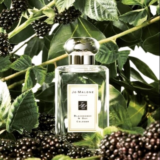 ภาพหน้าปกสินค้าน้ำหอมแท้ แบ่งขาย กดออกจากขวดใหญ่ JO MALONE BLACKBERRY & BAY COLOGNE มี 3 ปริมาณให้เลือก 2 ML 5 ML 10 ML ที่เกี่ยวข้อง