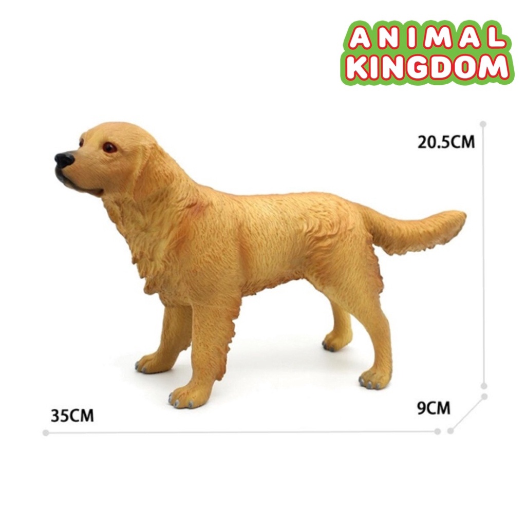 animal-kingdom-โมเดลสัตว์-สุนัข-หมาโกลเด้น-แบบนิ่ม-ขนาด-35-00-cm-จากหาดใหญ่