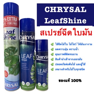 CHRYSAL Leaf Shine สเปย์ฉีดใบเงา ใบมัน เคลือบเงาใบไม้ ไทรใบสัก มอนสเตอร่า ฟิโลเดนดรอน พลูด่าง ยางอินเดีย ไม้ฟอกอากาศ