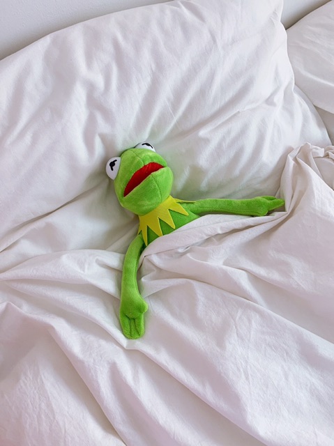 ตุ๊กตากบ-kermit-frog-ตุ๊กตาที่ดังจากมีม