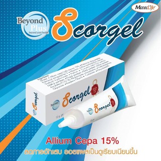 Maxxlife Scargel beyond plus  10 g สารสกัดจากหัวหอมช่วยลดรอยแผลเป็นและหมองคล้ำ ลดการอักเสบของของแผล [18812]