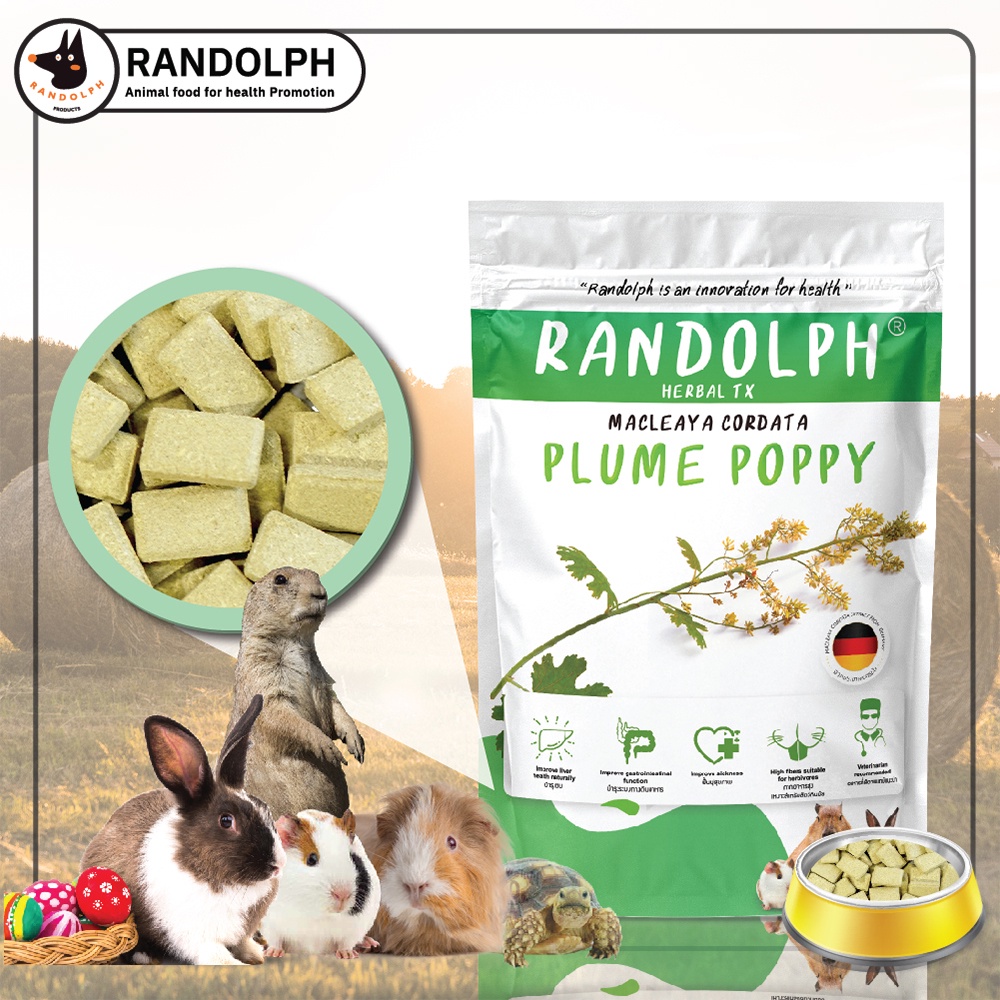 randolph-แรนดอล์ฟ-่herbal-tx-plume-poppy-ฟื้นฟูการเจ็บป่วย-ต้านอนุมูลอิสระ-ชลอความชรา-และลดปวด-แบ่งขาย-6-เม็ด