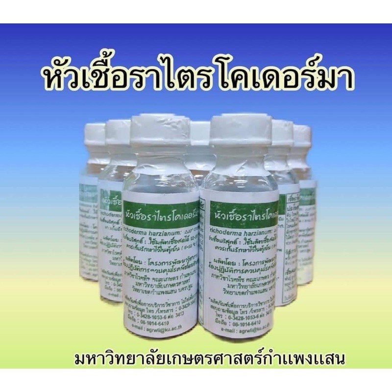 เก็บโค้ดหน้าร้าน-ลด-50-หัวเชื้อราไตรโคเดอร์มา-สินค้า-ม-เกษตรศาสตร์-กำแพงแสน-ขยายเชื้อได้-ขนาด-20-กรัม