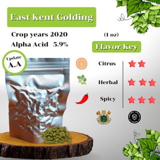 สินค้า East Kent Goldings Hops (1oz) Crop years 2020 (บรรจุด้วยระบบสูญญากาศ)