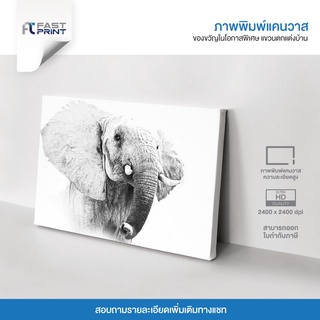 ภาพพิมพ์แคนวาสพรีเมี่ยม รูปสัตว์ ช้าง ขาวดำ ตกแต่งบ้าน ความละเอียดสูง 2400x2400dpi