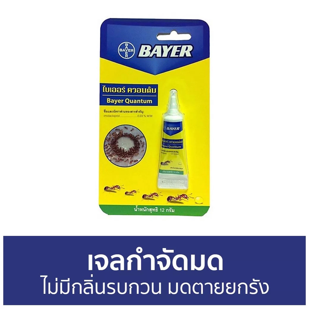 แพ็ค6-เจลกำจัดมด-bayer-ไม่มีกลิ่นรบกวน-มดตายยกรัง-quantum-กําจัดมด-ยากําจัดมด-กําจัดมดตายยกรัง-เหยื่อกำจัดมด