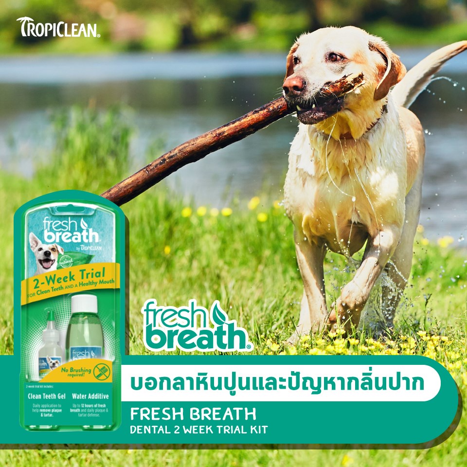 fresh-breath-เจลทำความสะอาดฟัน-สุนัขและแมว-ไม่ต้องใช้แปรง-ใช้ง่าย-น้องหมาแปรงยากใช้ได้