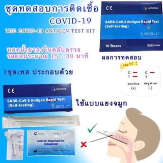 ชุดตรวจโควิด ATKชุดตรวจโควิด-19แม่นยำ100%(ยี่ห้อGenesea) (SARS-CoV-2 Antigen) ตรวจจมูก