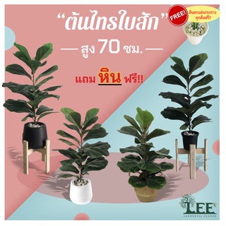 ต้นไทรใบสักปลอม เสมือนจริง 70 ซม. ต้นไม้ปลอมตกแต่งบ้าน Leeartplants