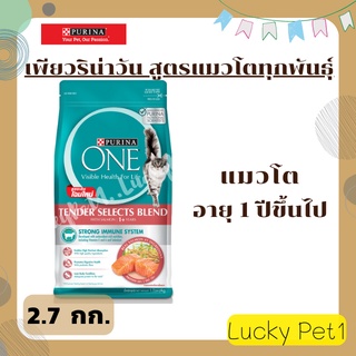 Purina One เพียวริน่า วัน สูตรแมวโต รสปลาแซลมอน และทูน่า 2.7 กก.