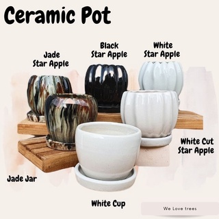 ภาพหน้าปกสินค้า\" Star Apple\" Ceramic Pots กระถางต้นไม้ ซึ่งคุณอาจชอบสินค้านี้