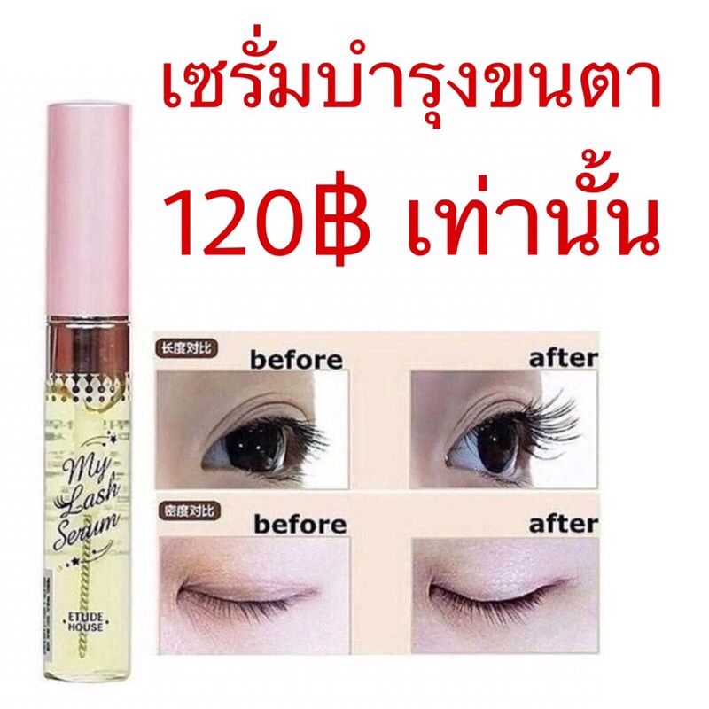 etude-house-บำรุงขนตา-ขนตา