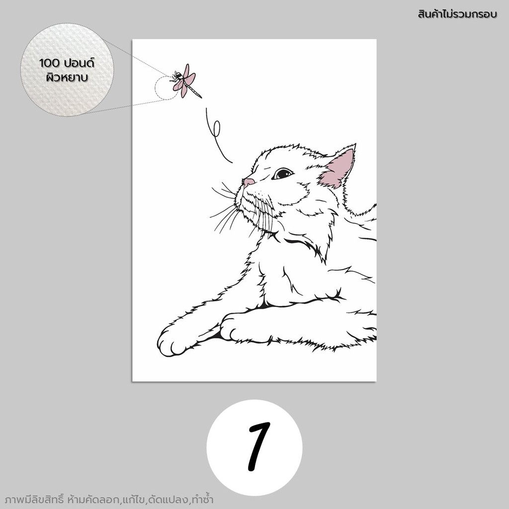 ภาพแมว-รูปแมว-รูปตกแต่ง-ภาพพิมพ์-กระดาษ100ปอนด์-ขนาดa3-a4-a5-ภาพติดผนัง-รูปติดผนัง-ทาสแมว-แมว-cat-set-2
