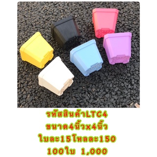 LTC4 กระถางต้นไม้แคคตัส มีให้เลือก 6 สี  สีสันสดใสๆ ขนาด 4 x 4 นิ้ว 1 ใบ