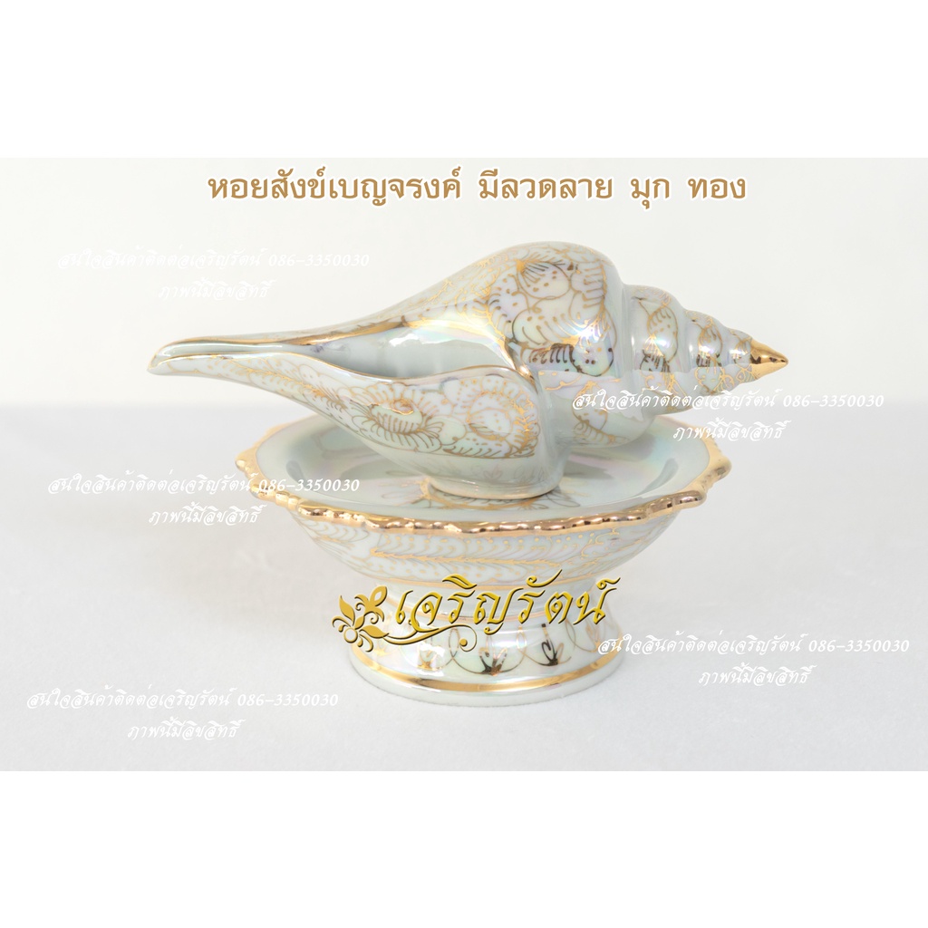 หอยสังข์-เบญจรงค์มุกทอง